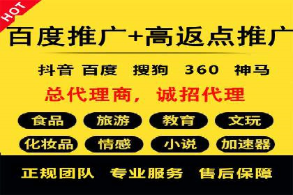 百度竞价代理操作手册：成功案例分析